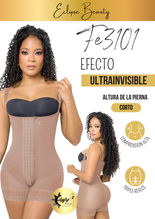 FE3101